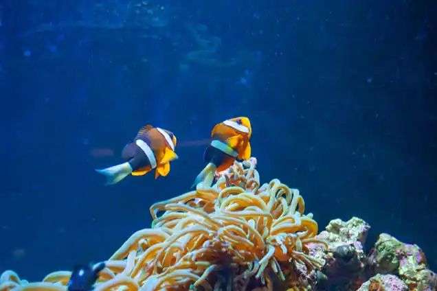 水族館