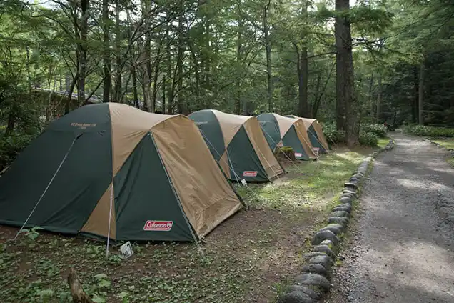 キャンプ場