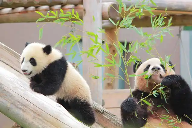 動物園