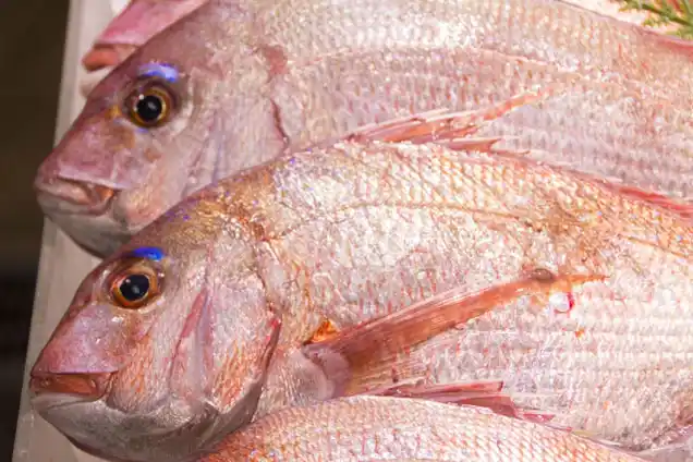 精肉・鮮魚店