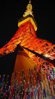東京タワーの写真