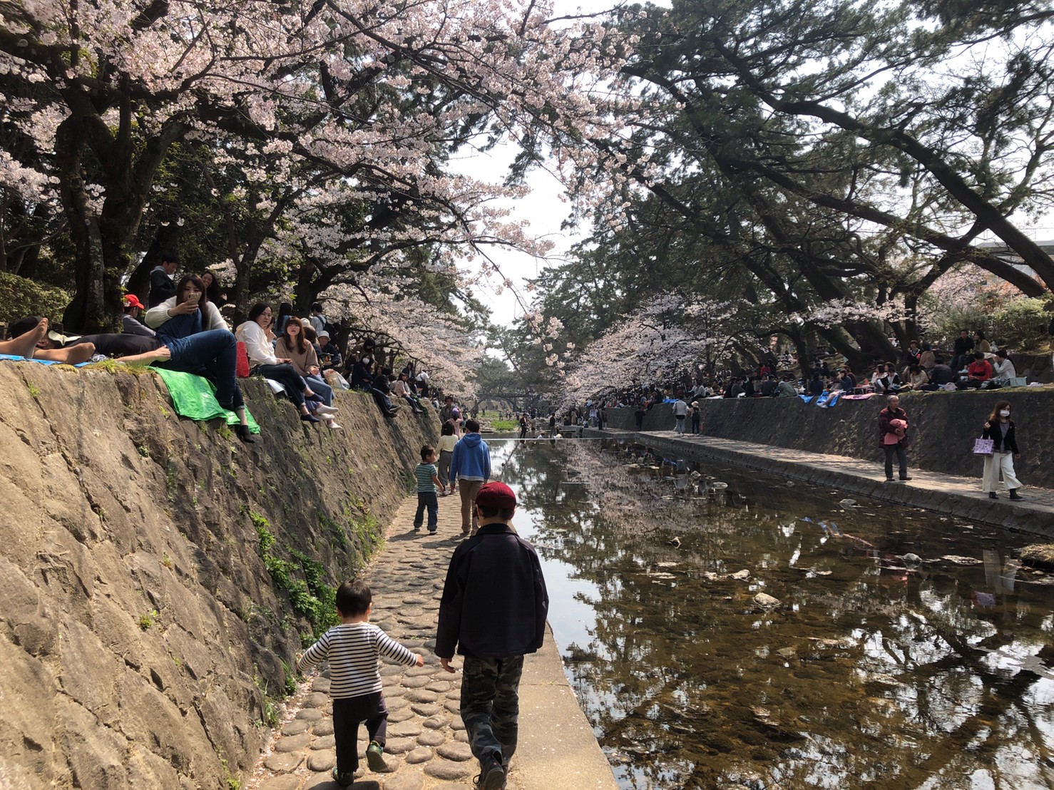 夙川公園の写真