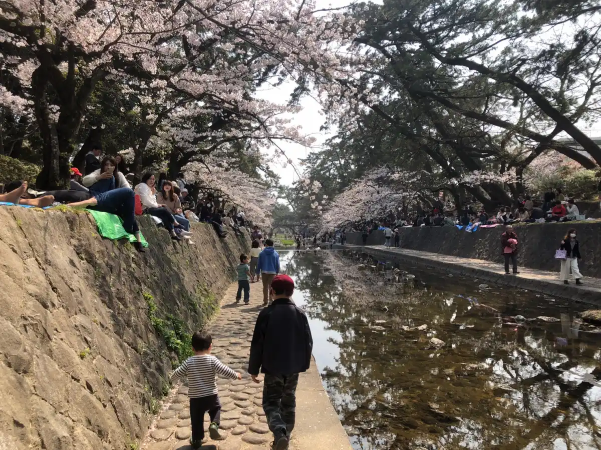 夙川公園の写真