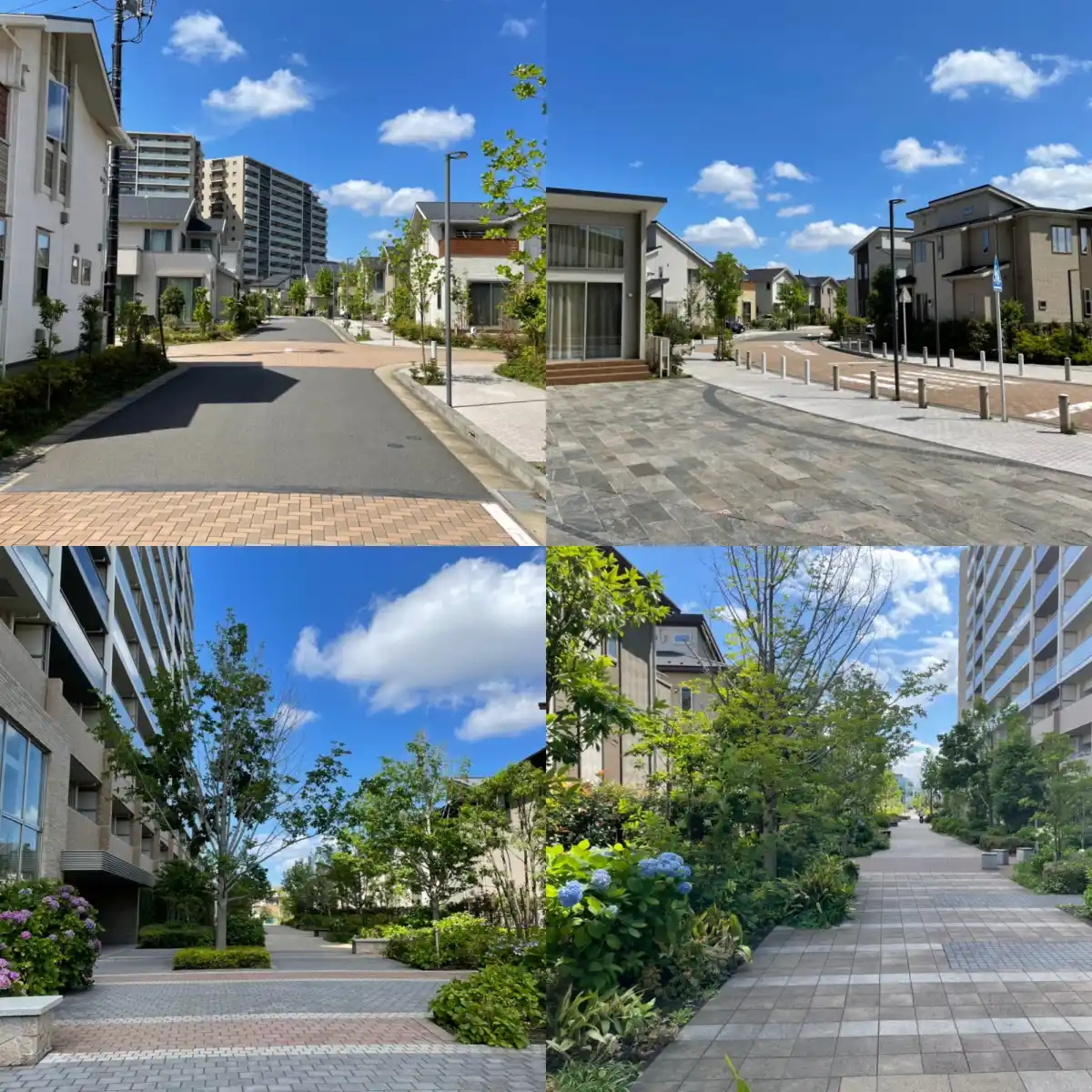 ウェリスパーク南流山／ウェリス南流山の写真
