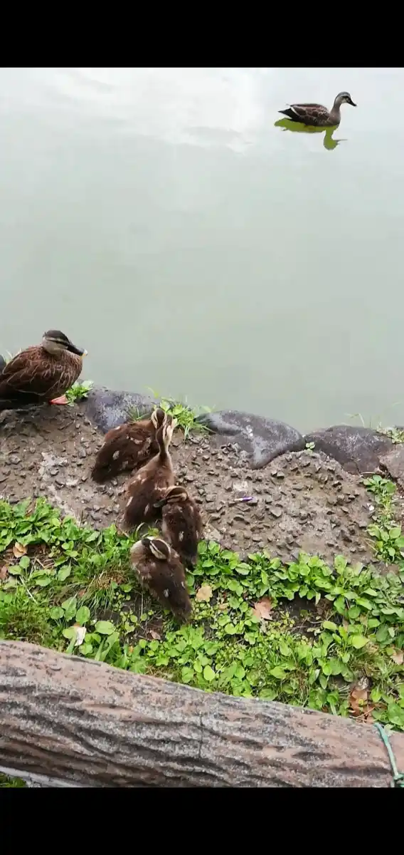 見次公園の写真
