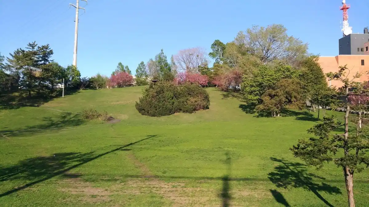 平岸高台公園の写真