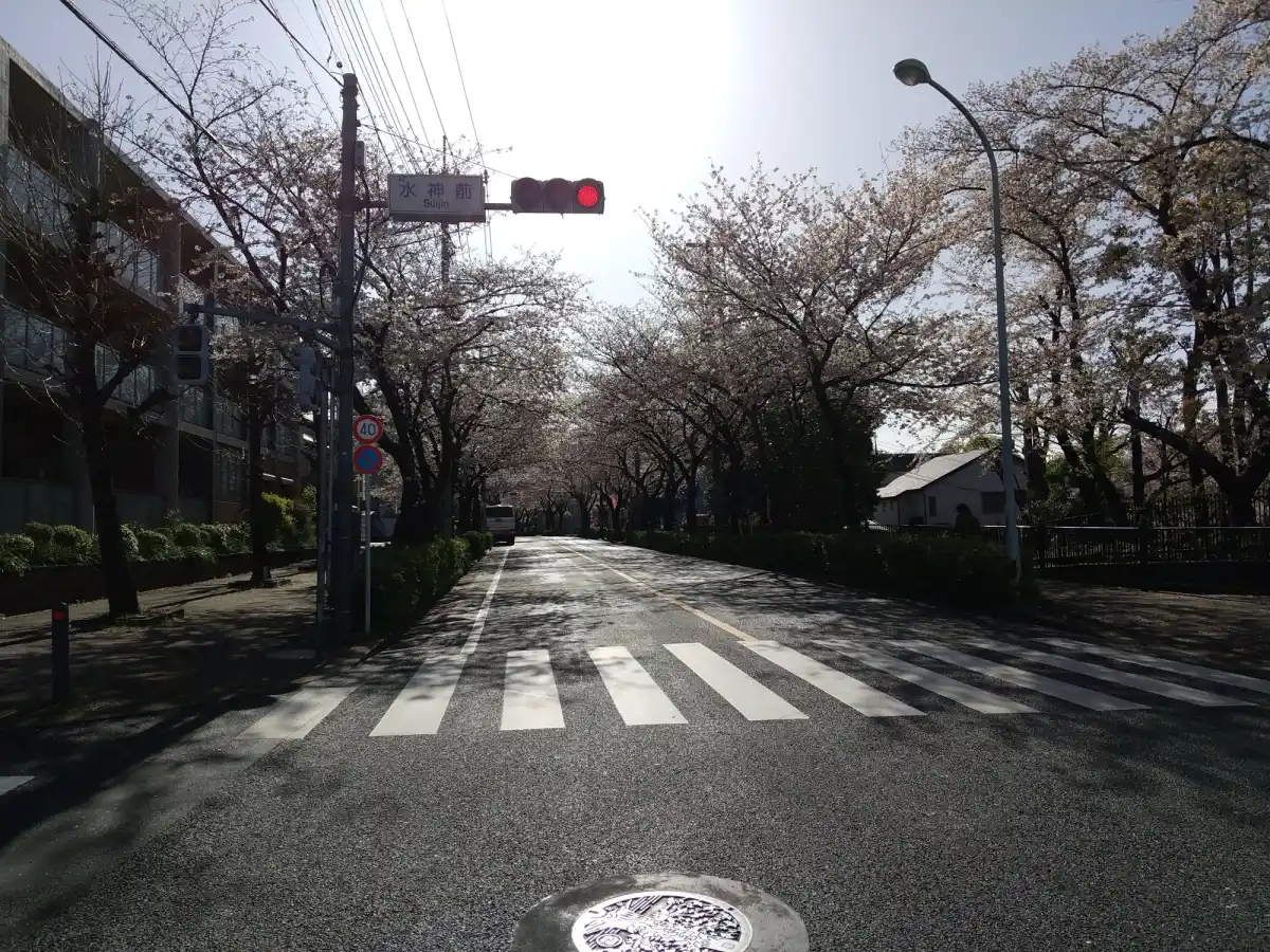 「よくね？」の場所の写真