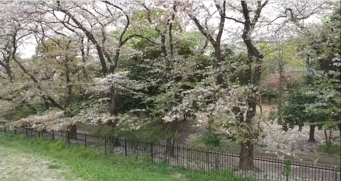 狛江市立西河原公園の写真