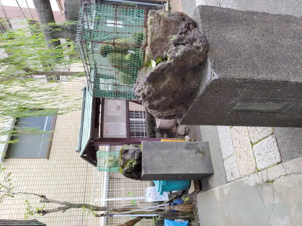 柳神社の写真