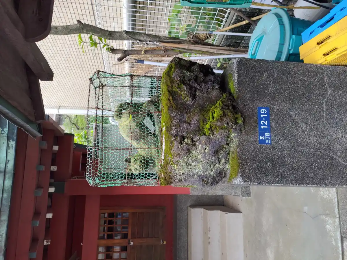 柳神社の写真