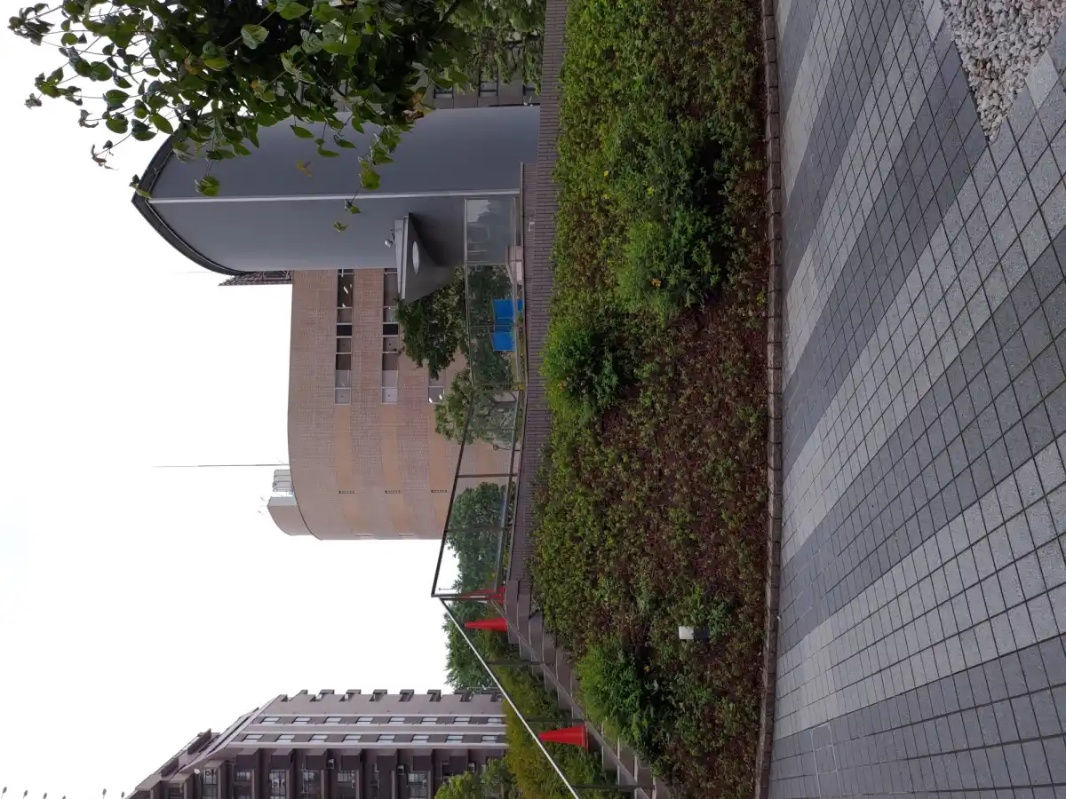 蔵稲荷大明神と近くの丘の写真