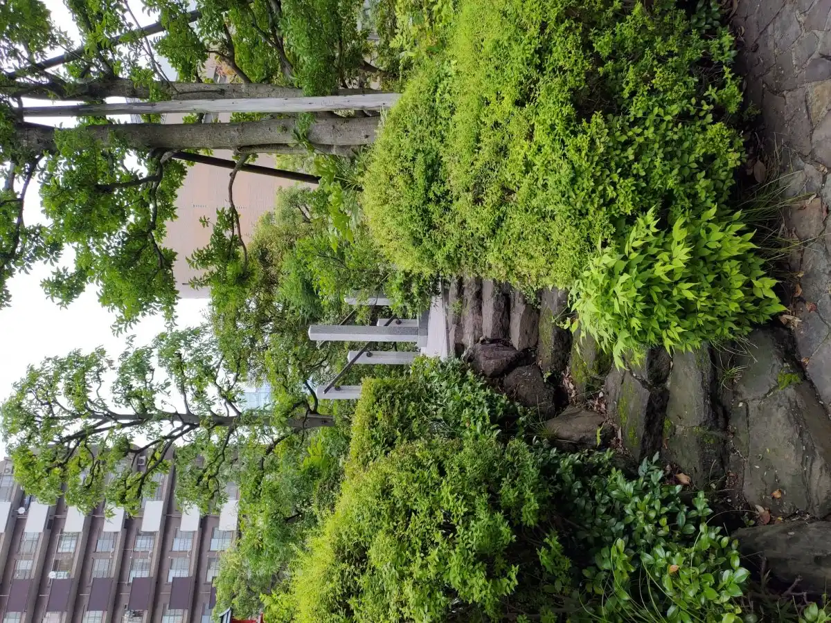 蔵稲荷大明神と近くの丘の写真