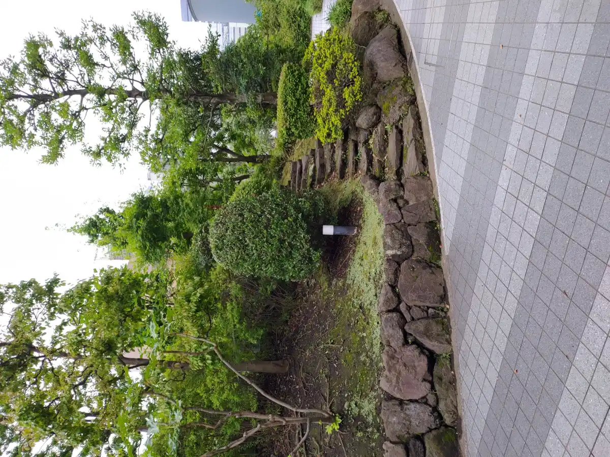 蔵稲荷大明神と近くの丘の写真