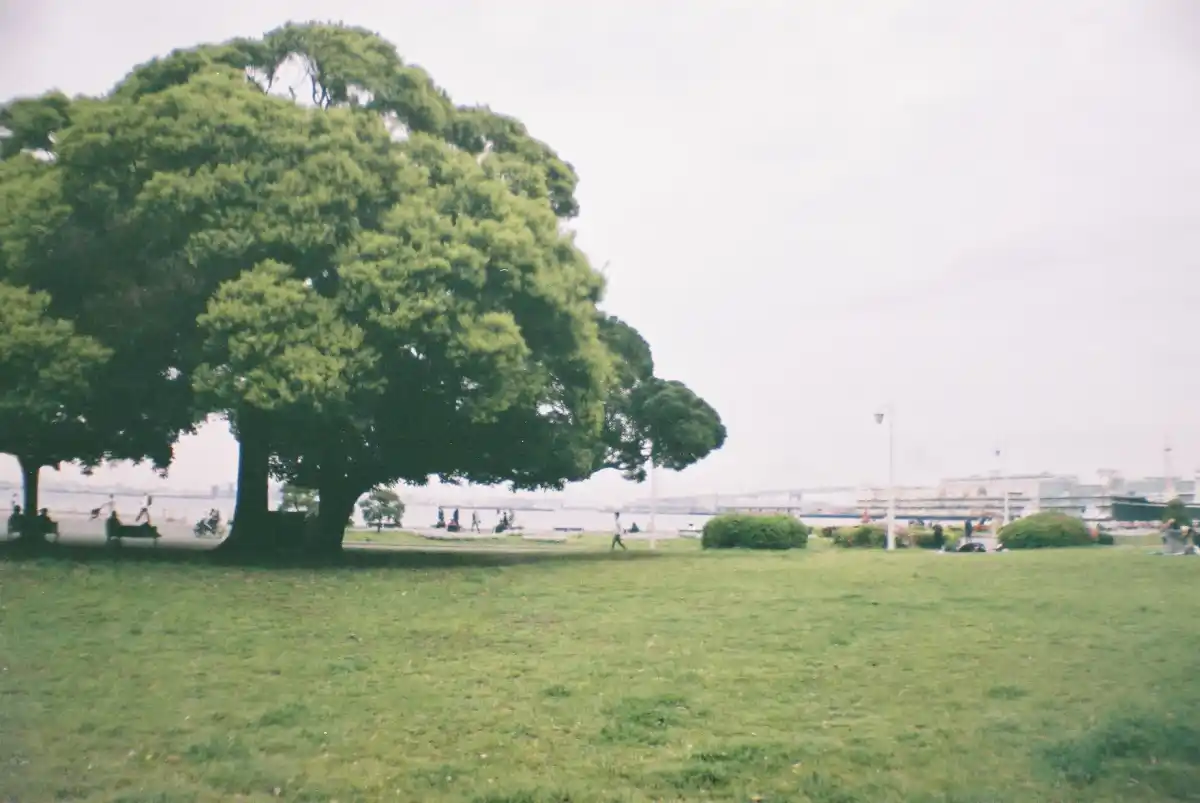 山下公園の写真