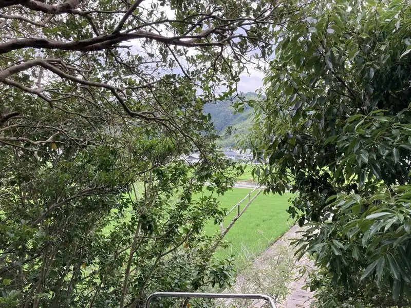弁天山の写真