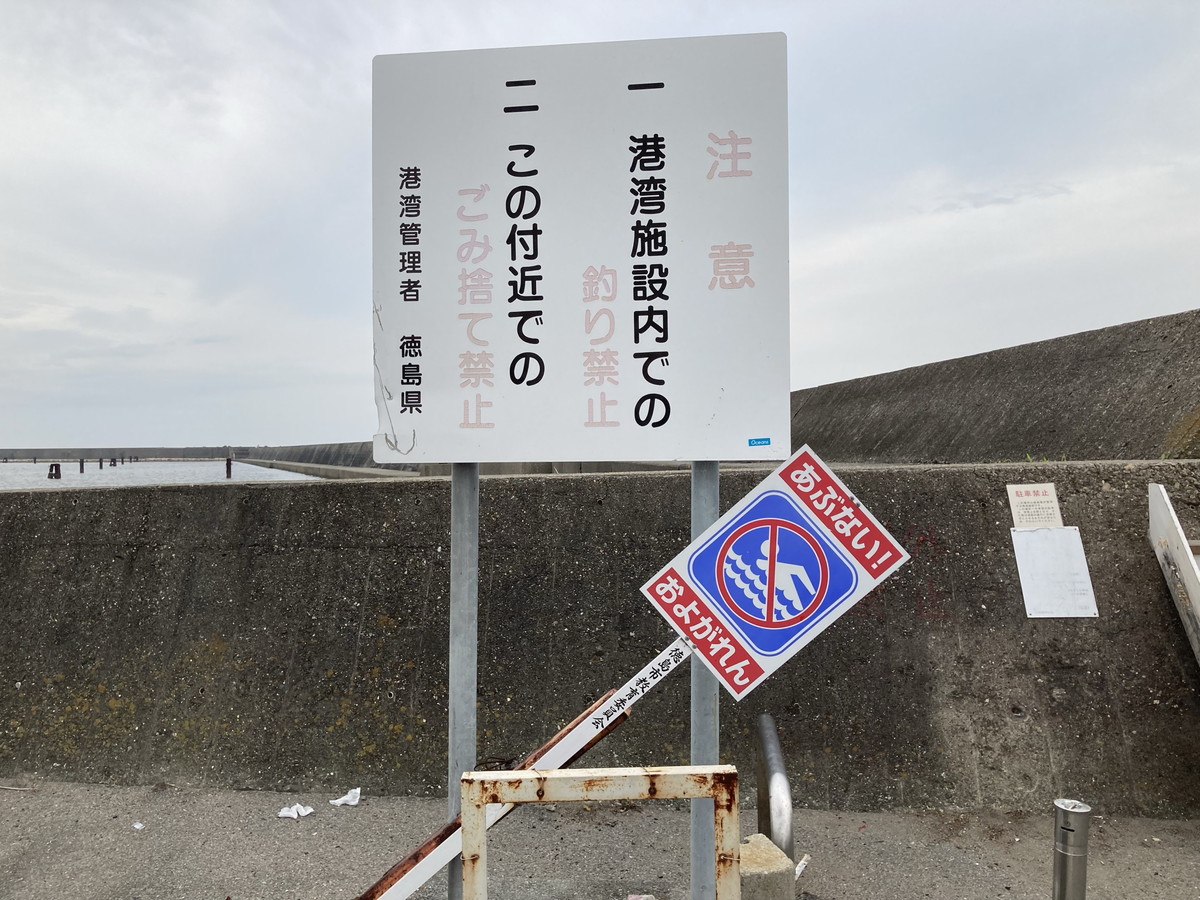 津田の堤防の写真