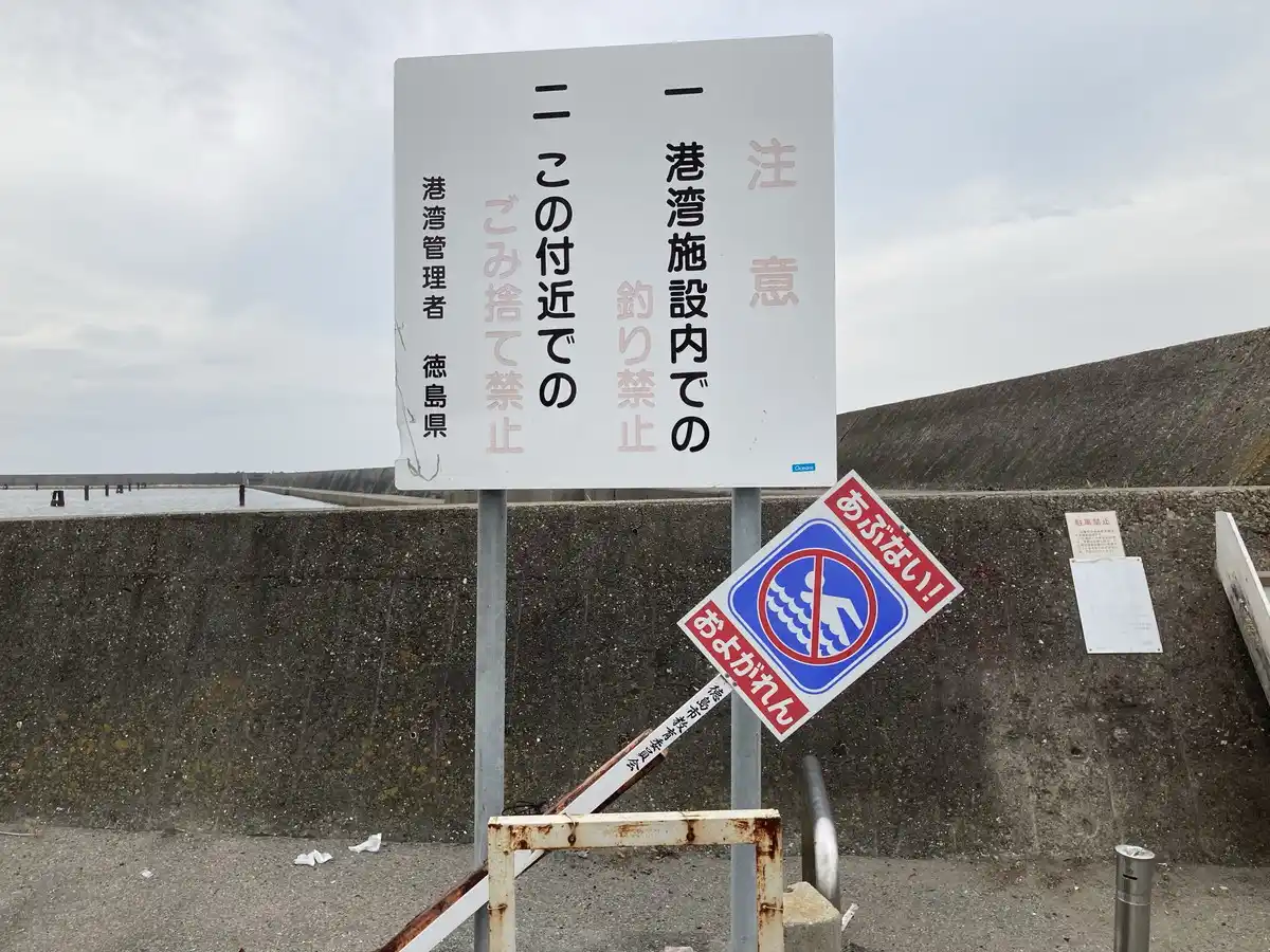 津田の堤防の写真