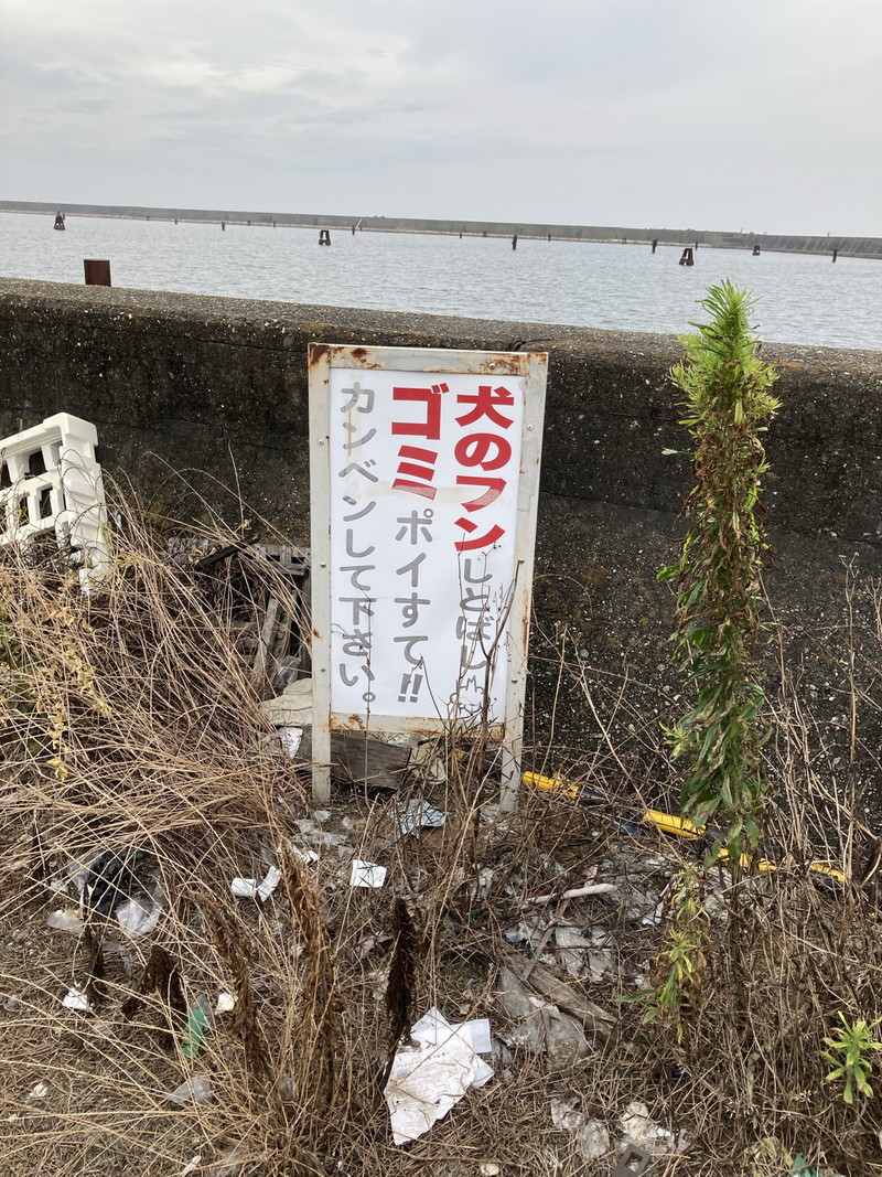 津田の堤防の写真