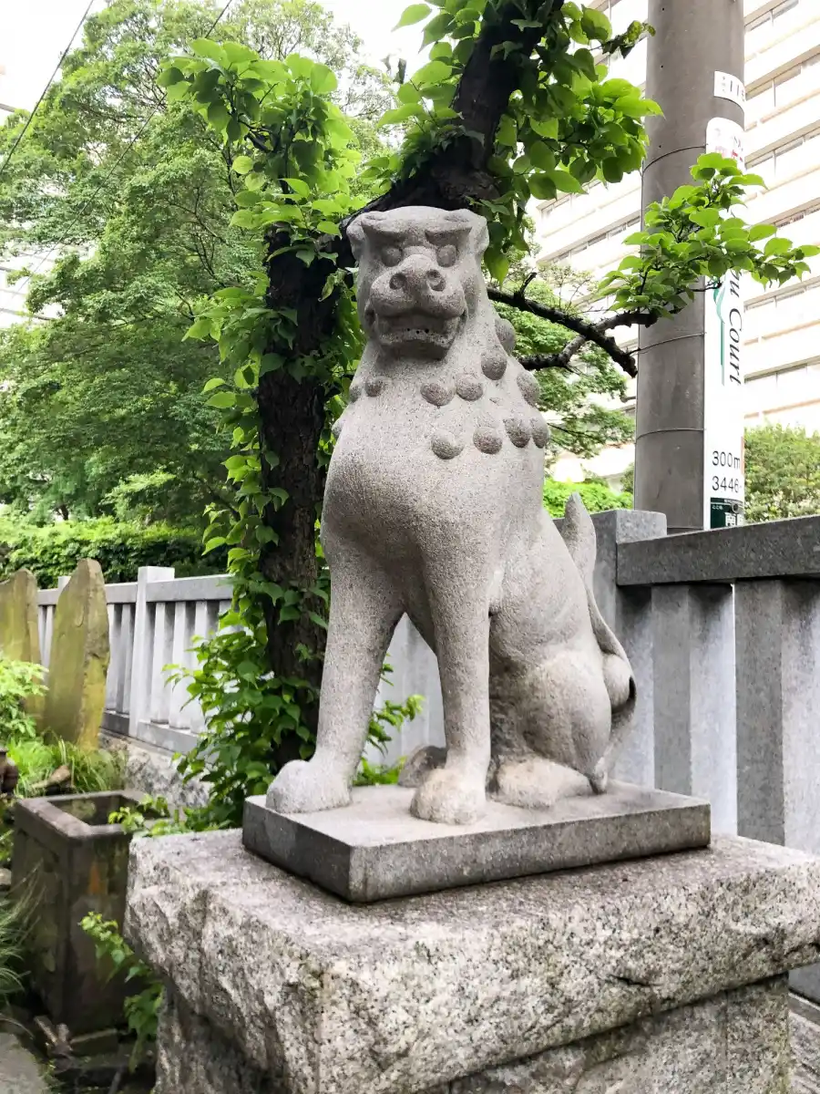 シュッとした狛犬の写真