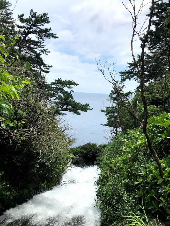 対馬の滝の写真