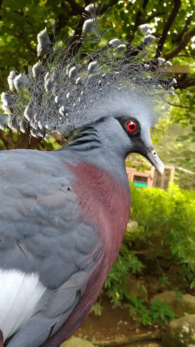 よこはま動物園ズーラシアの写真