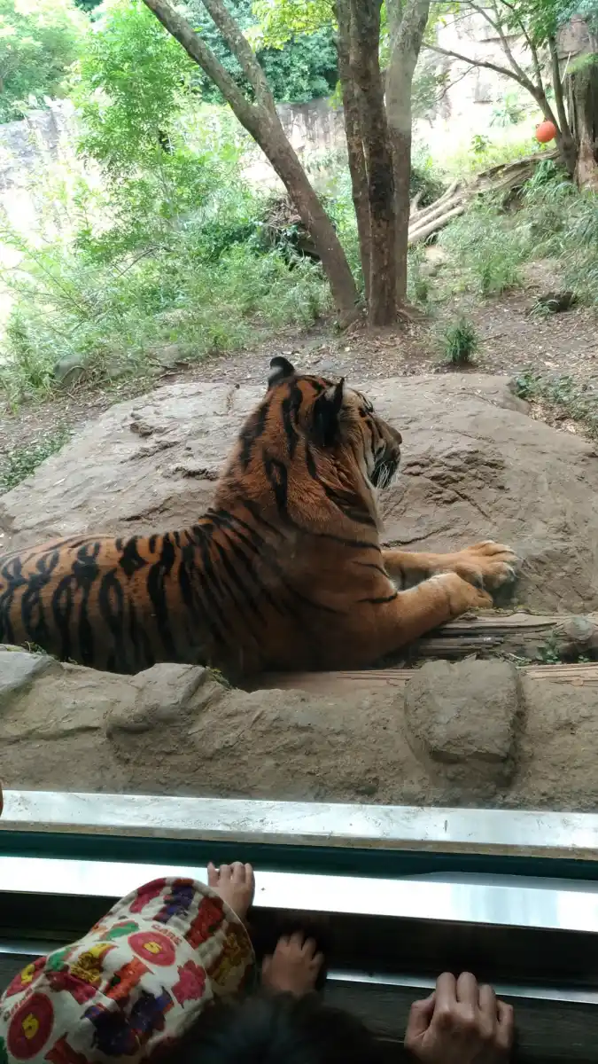 よこはま動物園ズーラシアの写真