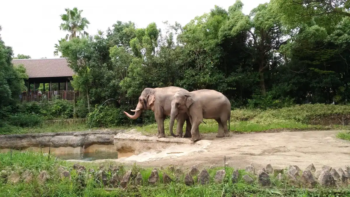 よこはま動物園ズーラシアの写真