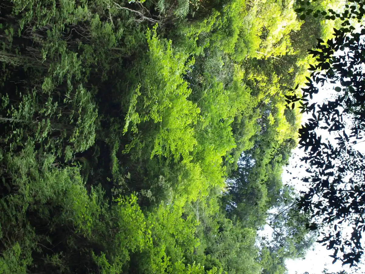 塩川滝の写真