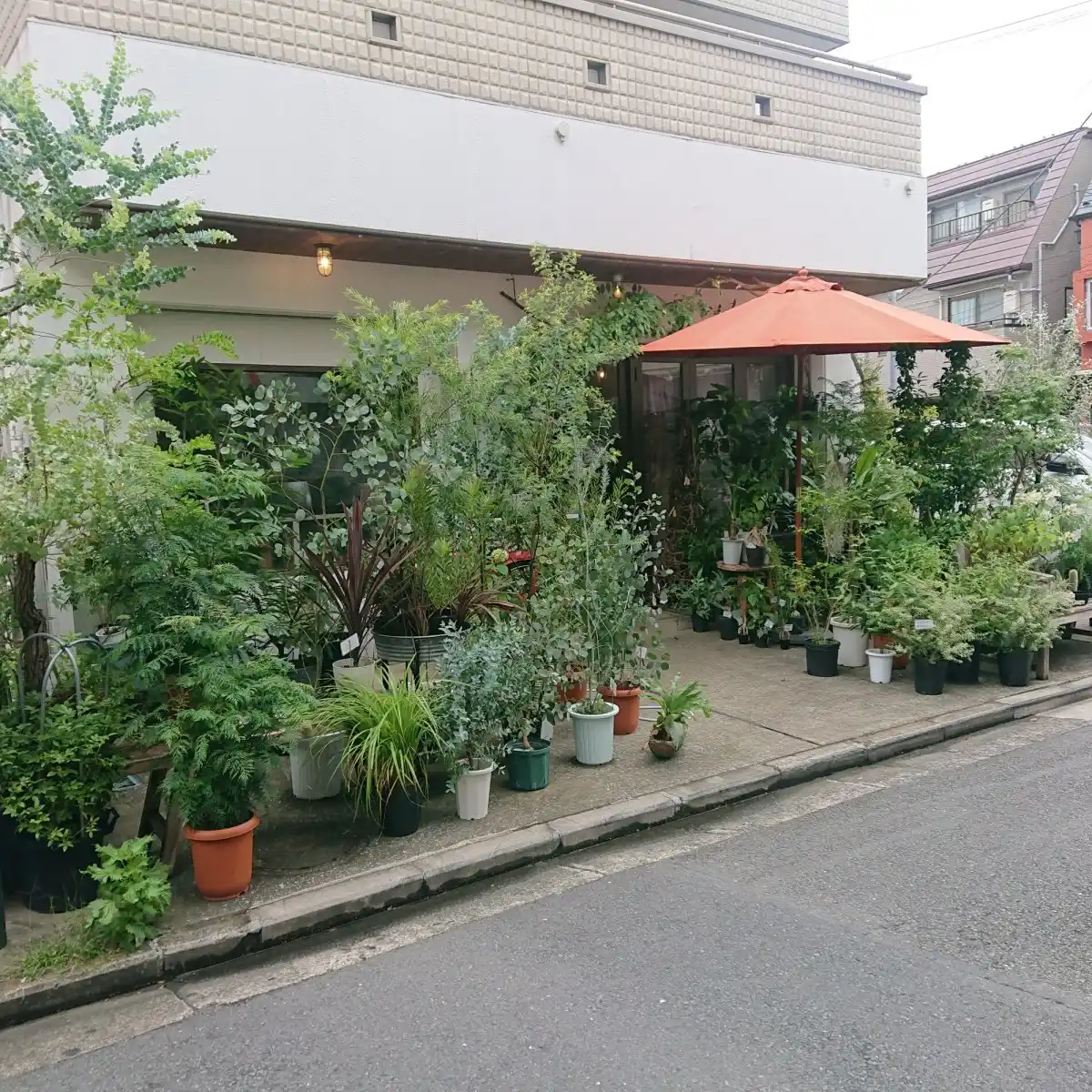 pura vida hair&flowerの写真