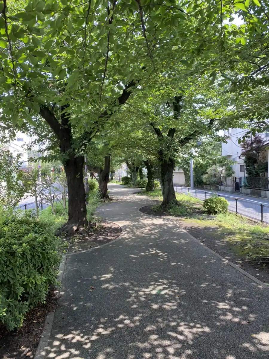 烏山川緑道の写真