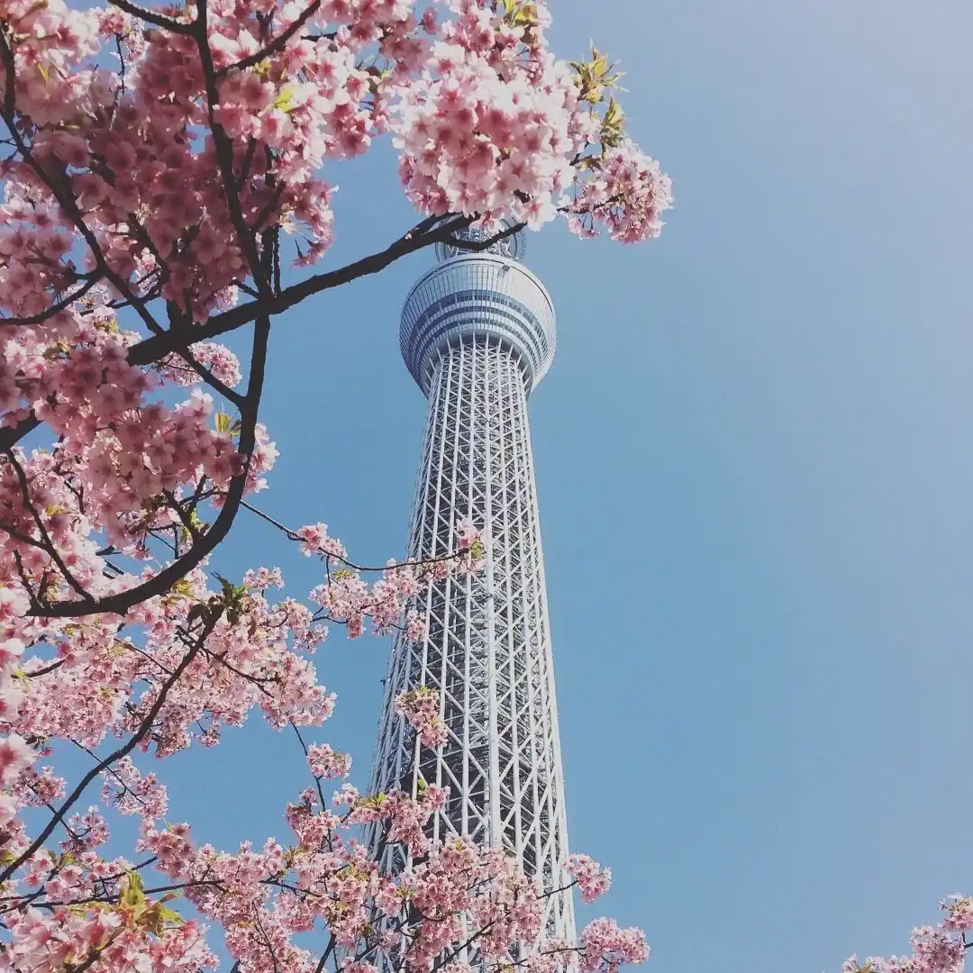 東武橋の写真