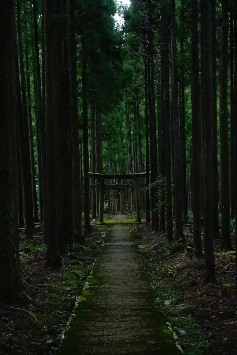 賀茂神社の写真