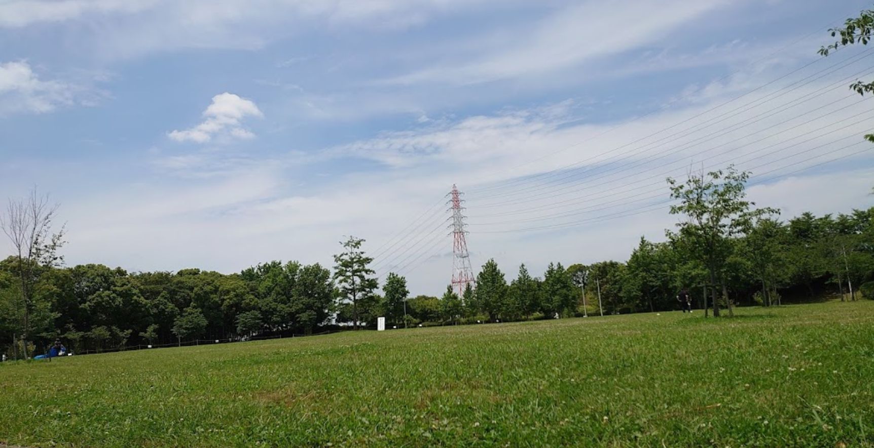 寝屋川公園の写真