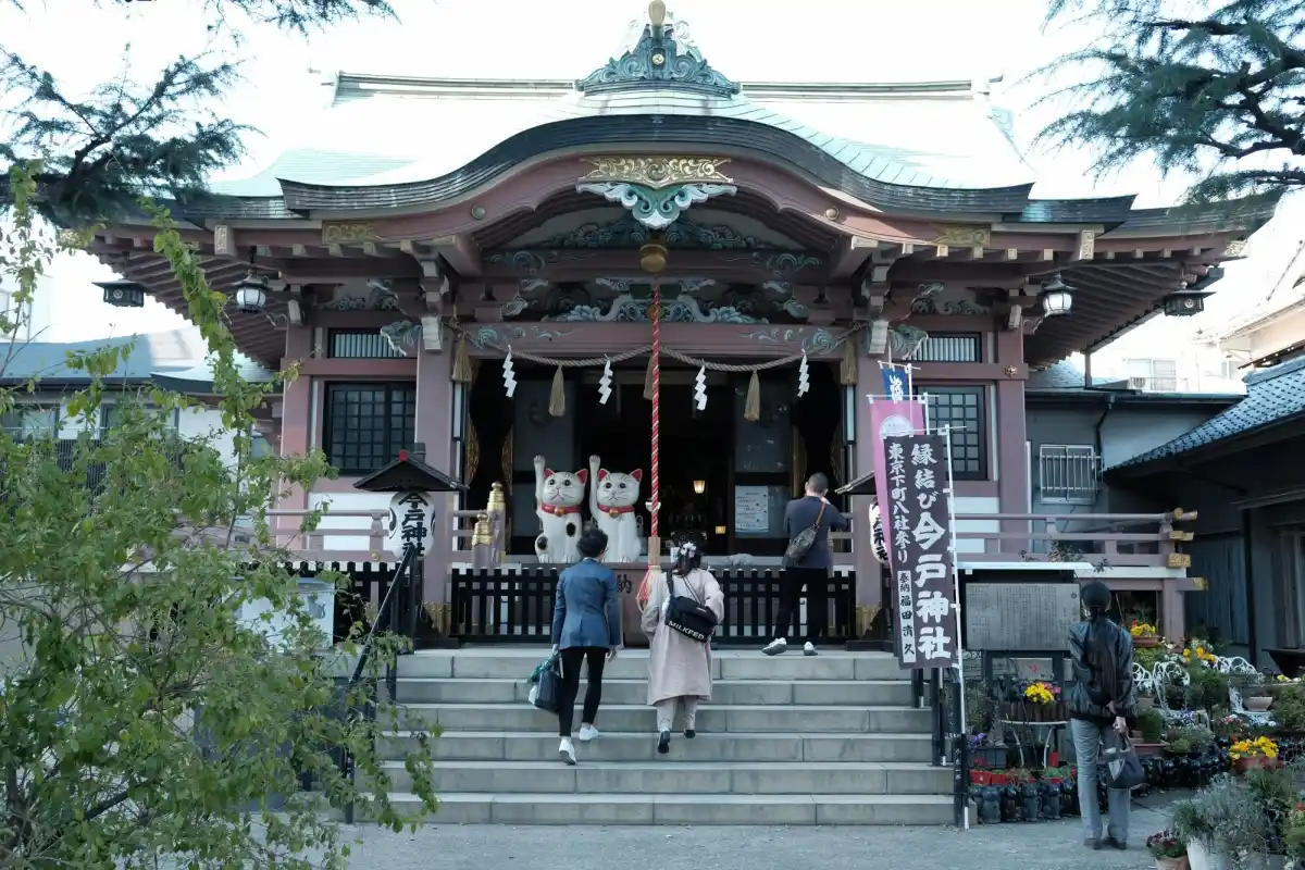 今戸神社の写真