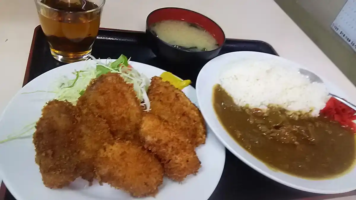 どんぶり君の写真