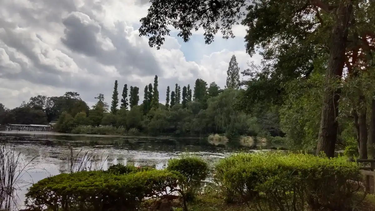井の頭恩賜公園の写真
