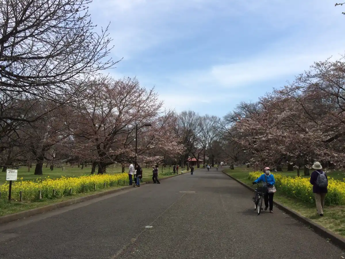 小金井公園の写真