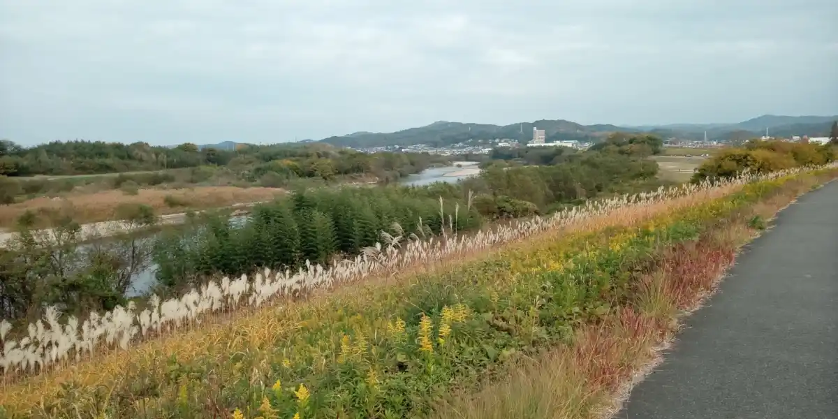 矢作川堤防左岸の写真