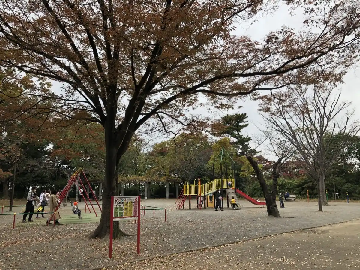 綱島公園の写真