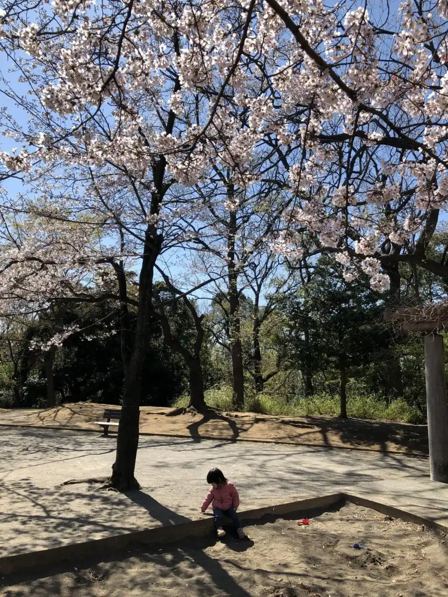 綱島公園の写真