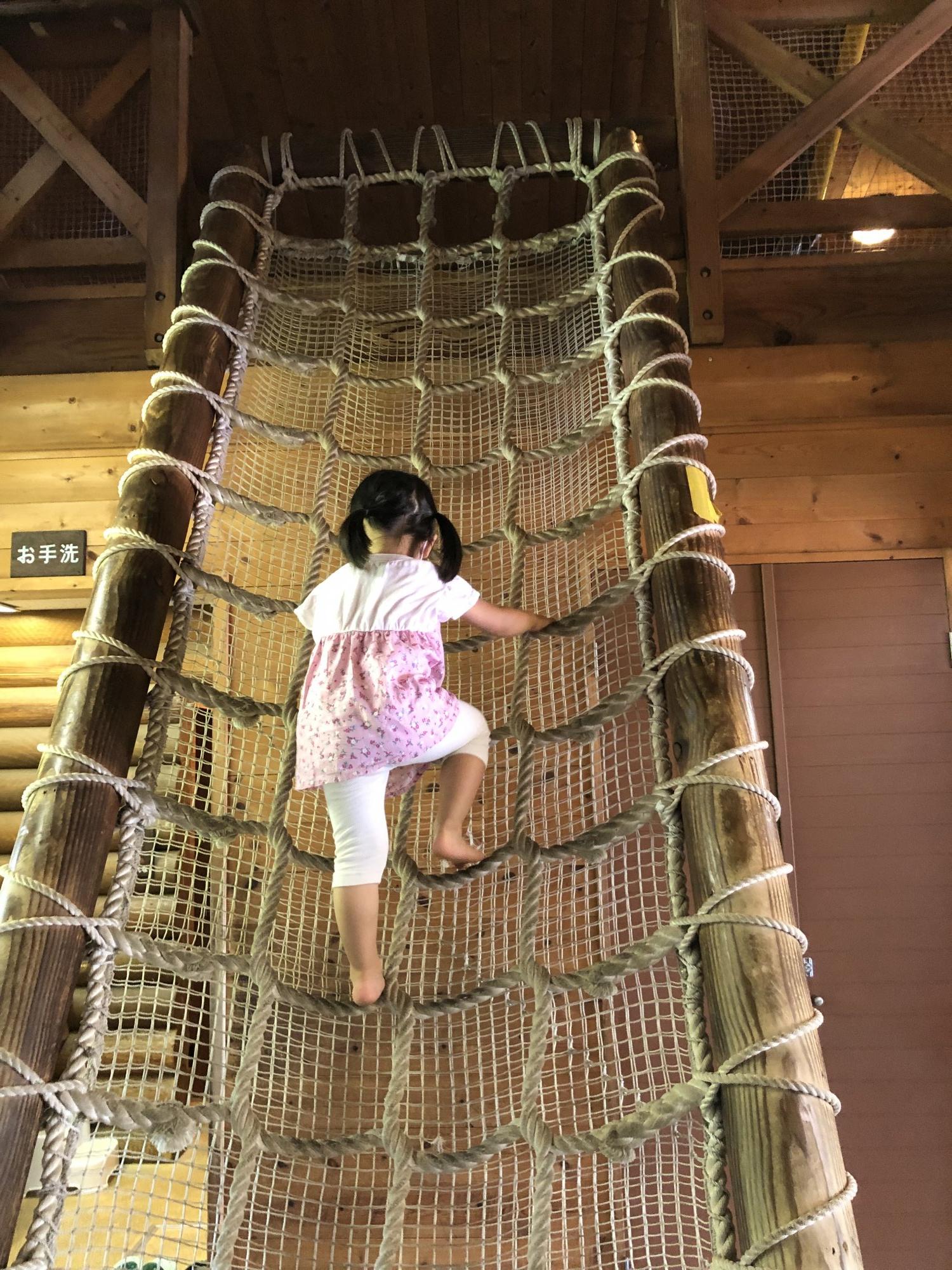 綱島公園の写真