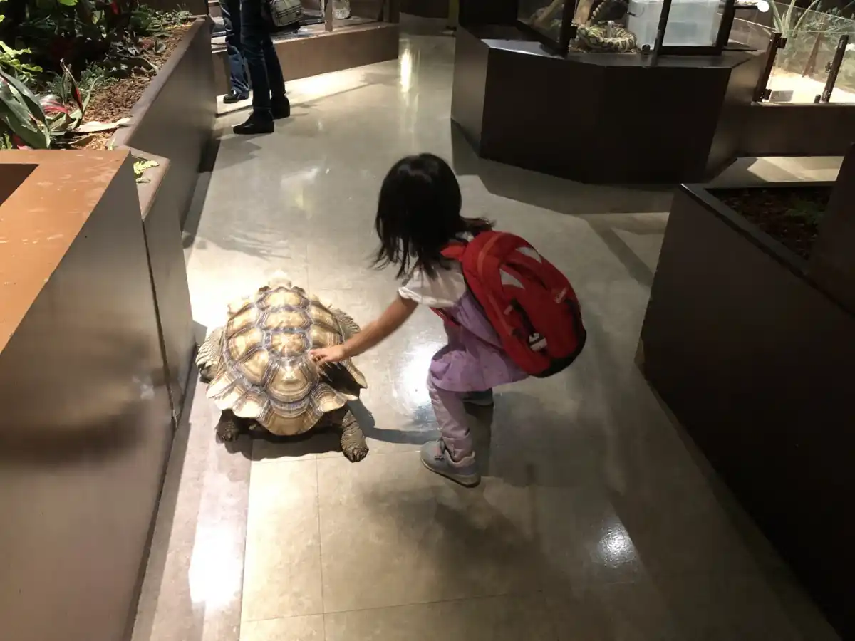 Moff animal world MARK IS みなとみらい店の写真