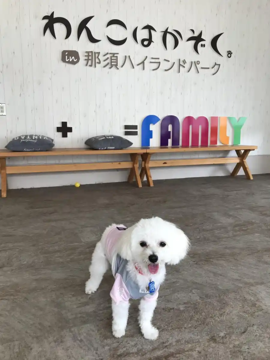 那須ハイランドパークの写真