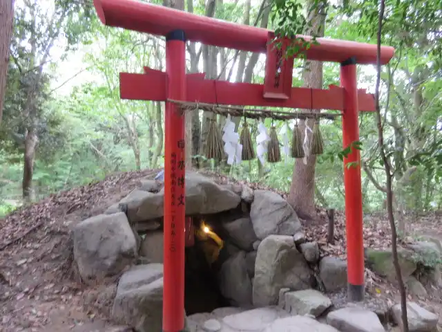 天開稲荷神社の写真