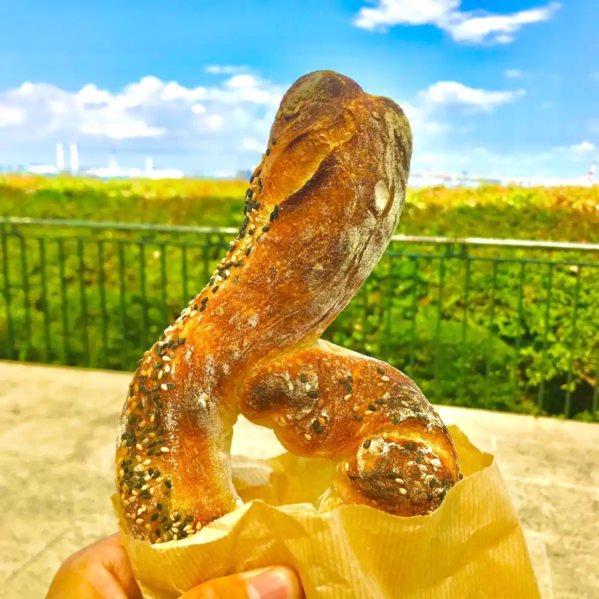BLUFF BAKERYの写真