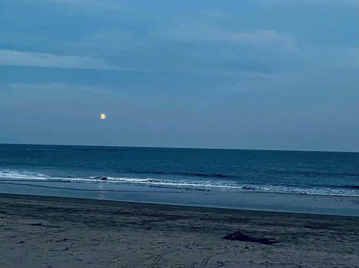 久慈浜の写真