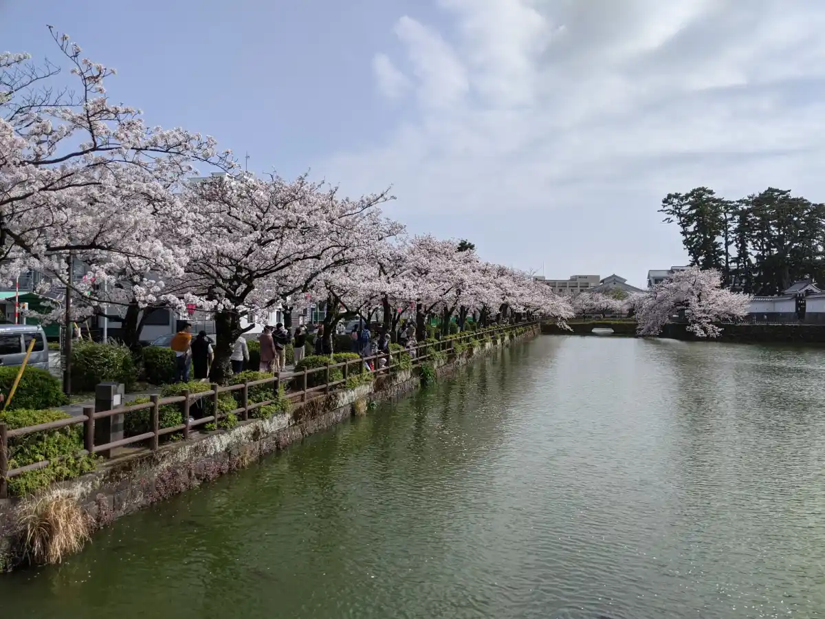 小田原城の写真