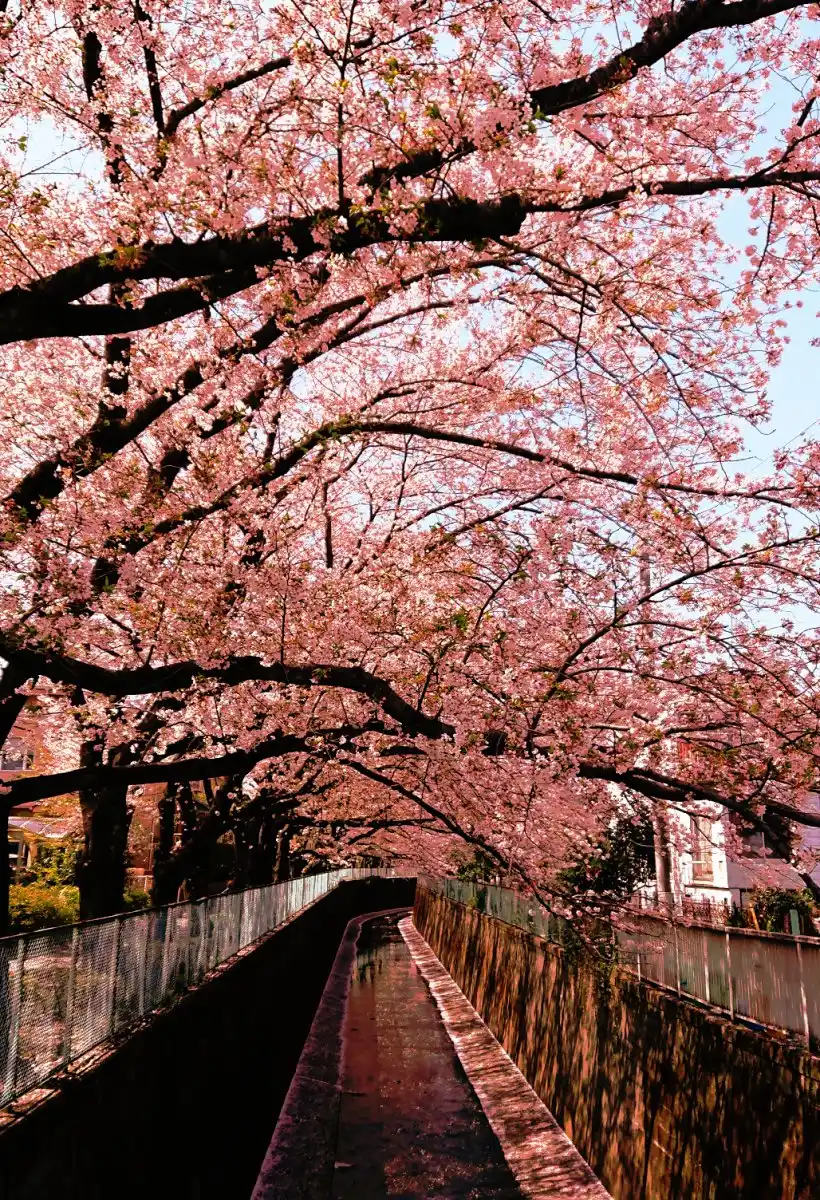 宮下橋の写真