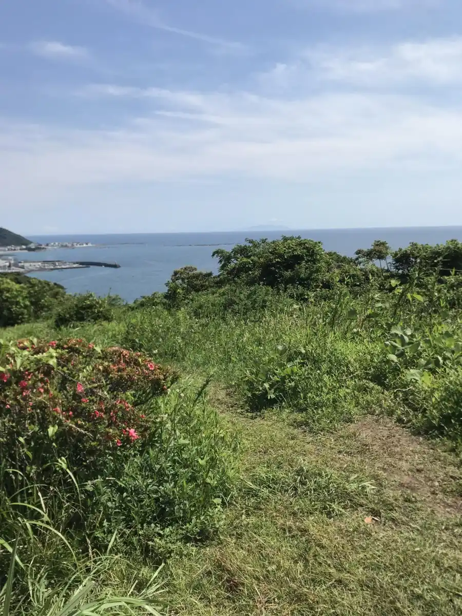 披露山公園の裏道の写真