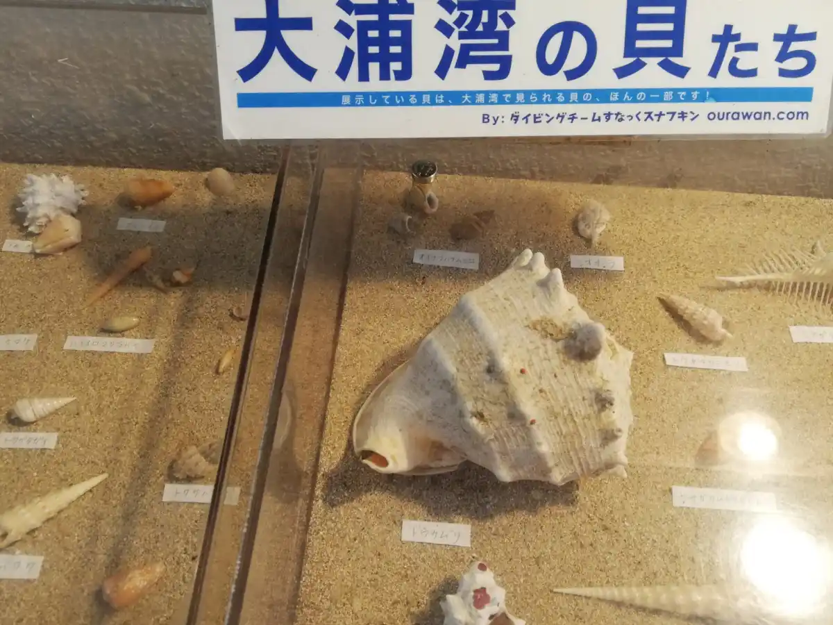 わんさか大浦パークの写真
